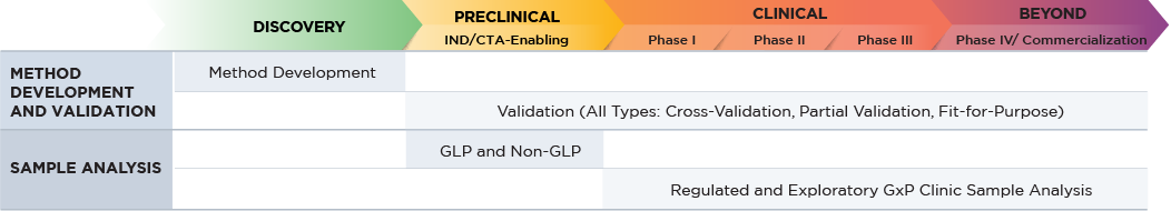 Four key steps to optimizing a large molecule bioanalytical program.