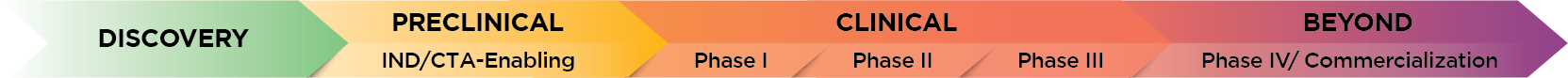 Large molecule development from discovery through to Phase IV