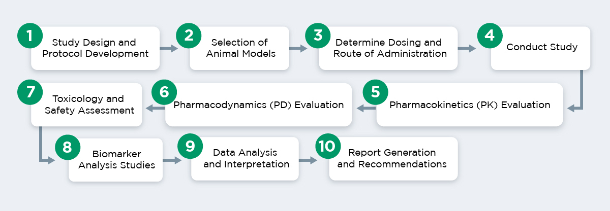Preclinical-Pharmacology_flowchart