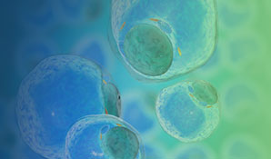 Resources_Preclinical-Pharmacology_eBook-Small-Molecule