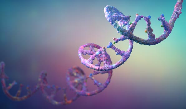 Cell and Gene Therapy Development