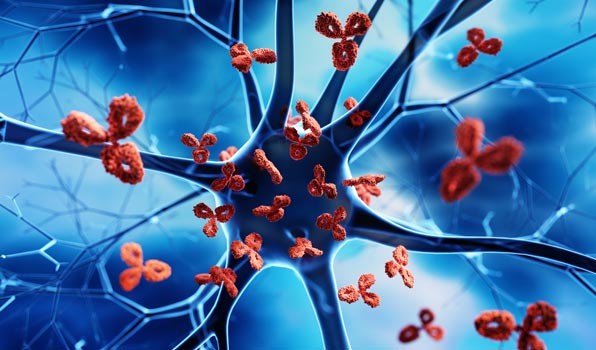 Immunotoxicology and Immunology Studies