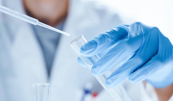 Pivotal Toxicology Studies