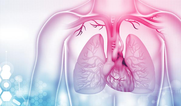 Safety Pharmacology Studies