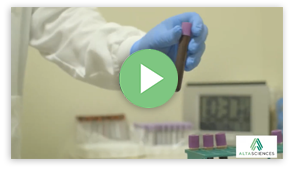 Video about peripheral blood mononuclear cells processing demonstration.