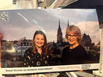 2025 Year in collage header image