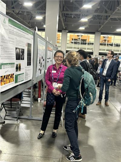 2025 Year in Review collage image