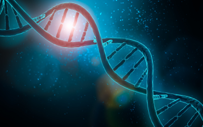 PCR Expertise for Gene Therapy-DNA style tile