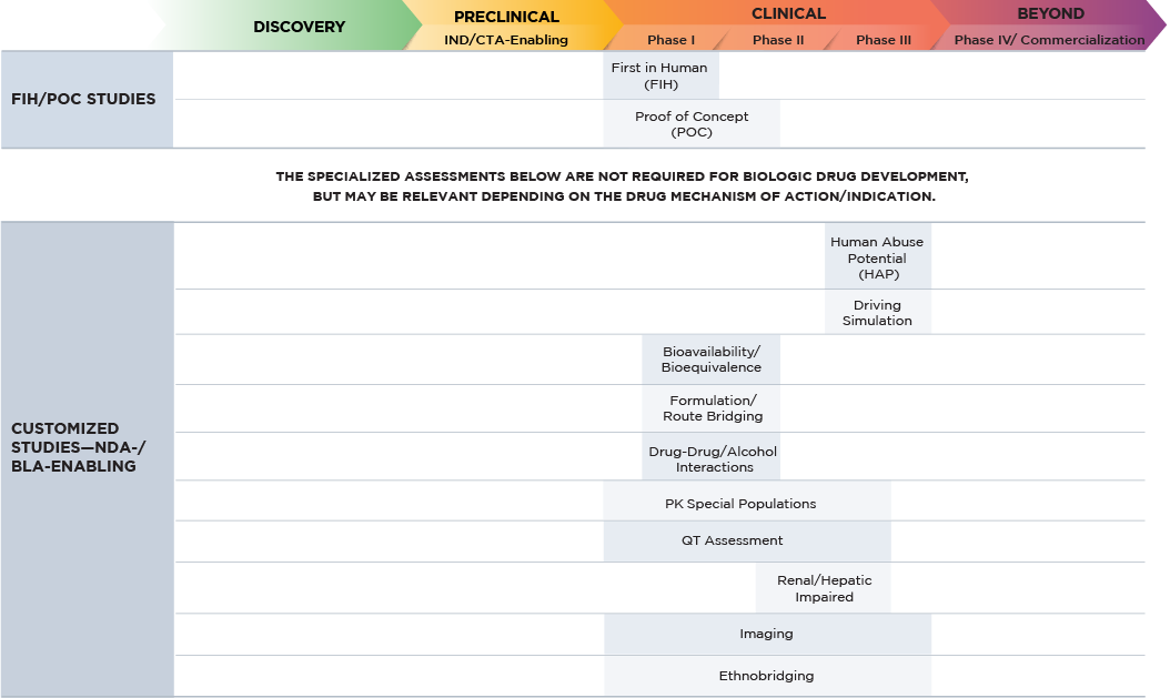 Clinical pharmacology graph large molecule
