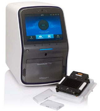 PCR applications in bioanalysis support translational research for novel therapeutics.