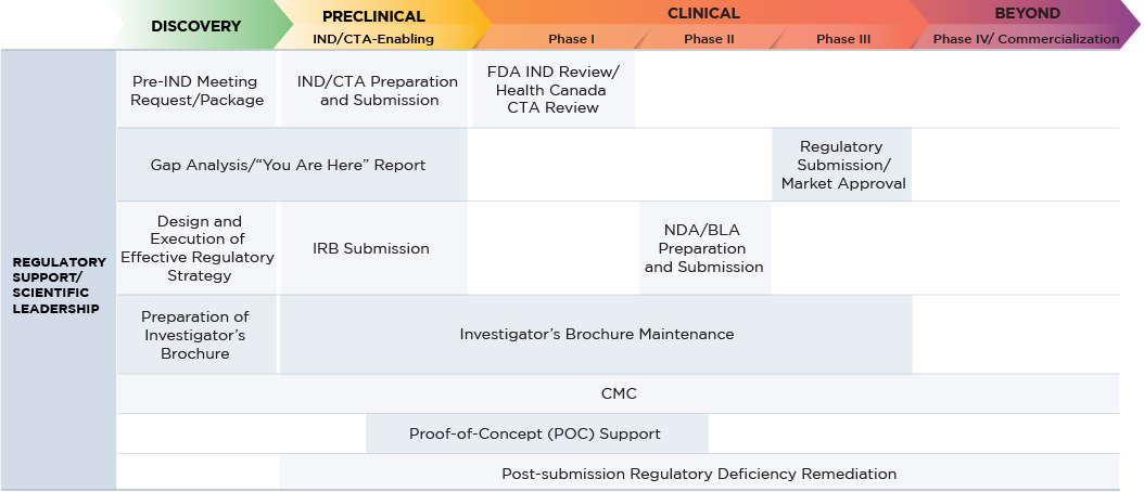Regulatory support small molecule