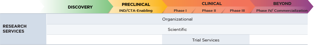 Research services graph