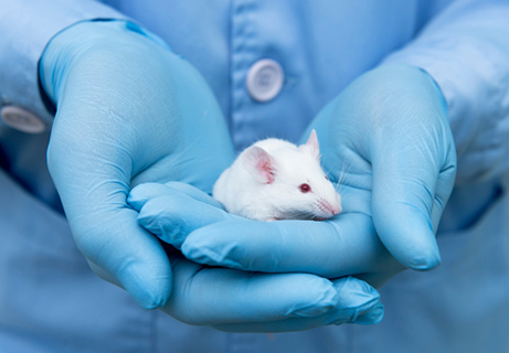 Animal pharmacology and pharmacokinetic studies support targeted therapeutic interventions