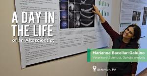A Day in the Life of a Veterinary Scientist, Ophthalmology