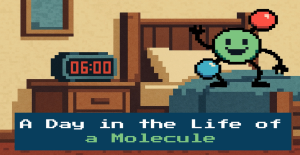 A Day in the Life of A Molecule
