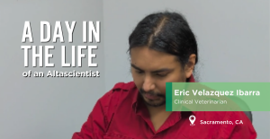 A Day in the Life of a Clinical Veterinarian